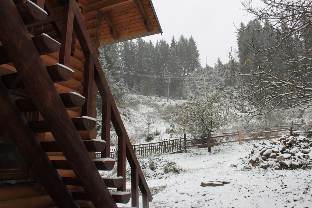 Sadyba Kazkove Dzherelo Verhovîna Cameră foto
