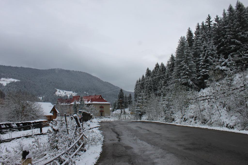 Sadyba Kazkove Dzherelo Verhovîna Exterior foto