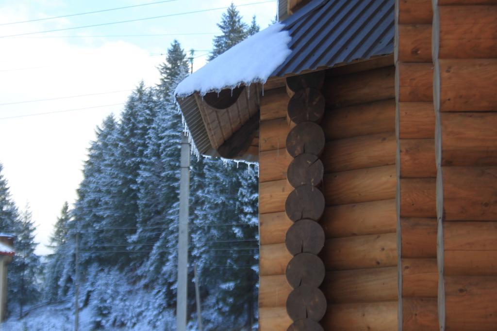 Sadyba Kazkove Dzherelo Verhovîna Exterior foto