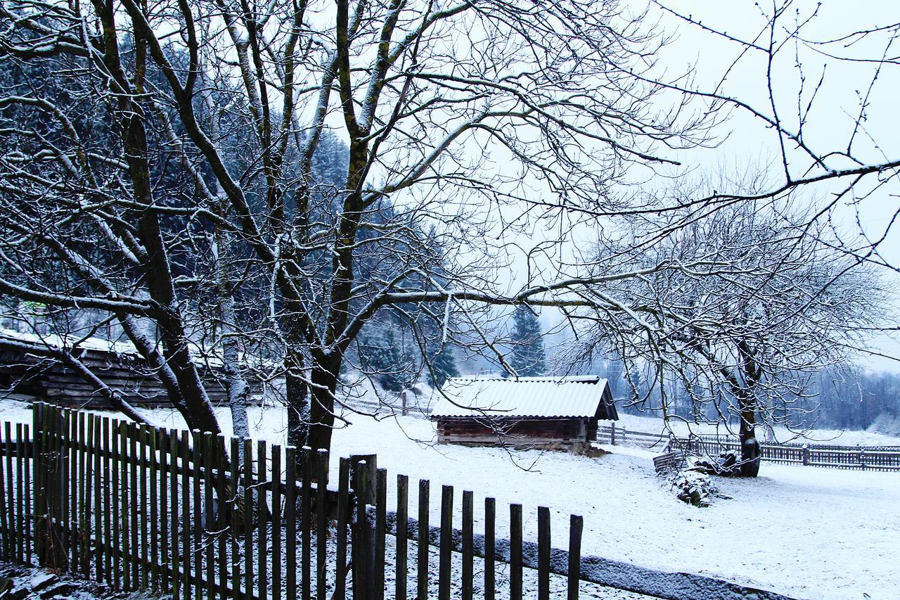 Sadyba Kazkove Dzherelo Verhovîna Exterior foto