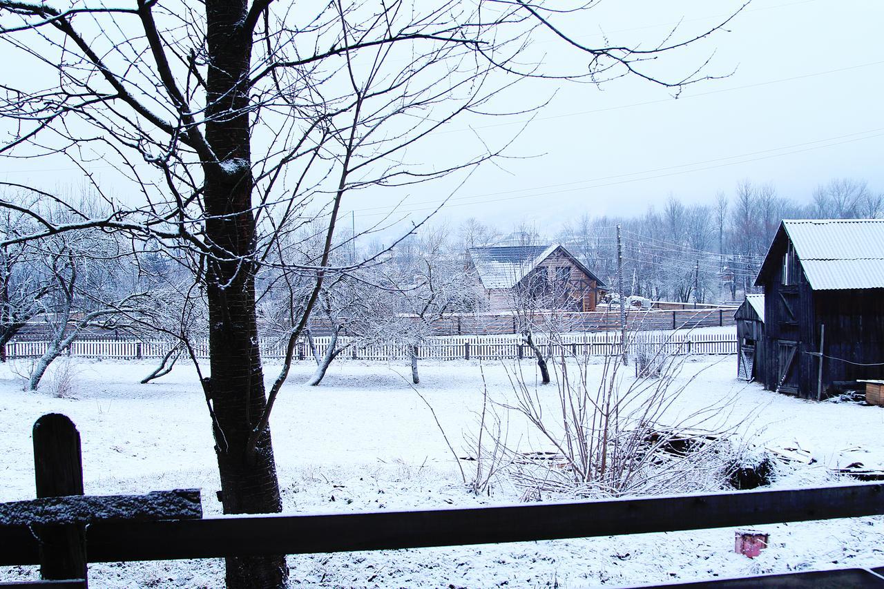 Sadyba Kazkove Dzherelo Verhovîna Exterior foto
